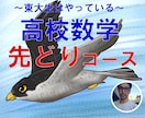 中学、高校数学の先取り学習しっかりやってもらいます 東大、京大志望者はもちろん数学で差をつけていきたい人は必見！ イメージ2