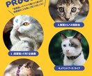 ポスター　チラシつくります おしゃれでシンプルで目につくものを作ります。 イメージ2