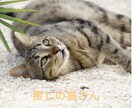苦しまないでお話して！自分責めはやめられます 心に寄り添い生きやすさを一緒に探してサポートします イメージ7