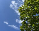 雑談しませんか　まってます 誰にも言えない気持ちやさしく受け止めます イメージ1