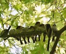なんか虚無感、空っぽな心の声を聞きます 自分の気持ちもどうしたらいいかも分からない。全部話そう。 イメージ9