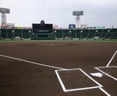 夢を応援します スポーツに関してのメンタルコーチング野球に関してのアドバイス イメージ1
