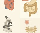 サイエンス医学・獣医学・分子生物学イラスト制作ます リアル・ハイクオリティな医学系イラストを提供いたします。 イメージ1