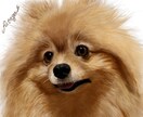 とても美麗！写真レベルのうちの子の似顔絵かきます ペット専門イラストレーターが丹精込めて描かせていだたきます！ イメージ7