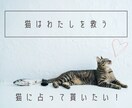 神秘的な猫達が、あなたにぴったりの1枚を選びます 猫の神秘的な直感が恋する心にやさしく光を灯します✴︎ イメージ1