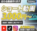 ショート動画制作いたします ショート動画はお任せください！ イメージ1