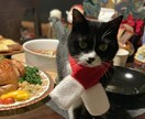 英語教育について相談受付ます 英会話スクールのマネージャーからのアドバイスです。 イメージ1