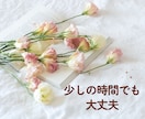 5分OK✨最大10分通話でサクッとお話し聞きます 今すぐ少しだけ話したい方へ✧*すぐお話し相手になります イメージ4
