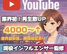 業界初！YouTube再生数4000増加します 業界初！現役インフルエンサーが運用サポート+ミニコンサル付き イメージ1