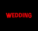 NETFLIX風結婚式プロフィールムービー作ります 最短14日納品！会場全体が盛り上がること間違いなし！ イメージ4
