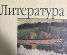 日本語完璧なロシア人がロシア語教えます 初心者から上級者まで！日本歴12年の女がロシア語教えます！ イメージ1