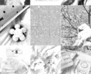 写真色彩加工いたします 色味が統一された可愛いSNS作りのお手伝いをいたします イメージ6