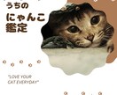 あなたの大事なにゃんこの気持ちを占います 猫の気持ちを知りたいあなたのための「にゃんこ鑑定」 イメージ1