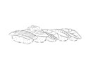 フードイラスト描きます カット画を中心に食べ物のイラストを描きます。 イメージ5