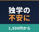 現役国立医学生が不安な受験勉強に寄り添います 一人で不安な受験勉強に、相談とノウハウの提供 イメージ4