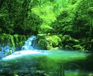 初心者さんへ★ココナラ出店についてアドバイスます 約70日でプラチナになった普通のOLがアドバイスします イメージ9