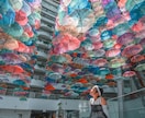 鹿児島県内、出張撮影致します 被写体から商品や建物など、ミラーレスカメラで撮影致します。 イメージ6
