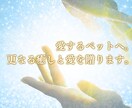 ペット専用☆愛するペットの心と体を癒します 寂しい思いをさせてる…ペットが亡くなった…更なる愛を送ります イメージ2