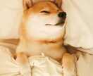 精神科看護師が精神科についての相談にのります ⭐️精神看護師8年目！否定せずいつでもあたなの味方です！✨ イメージ8