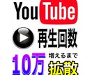 動画再生回数が100000増えるまで拡散を続けます 〜30日以内に完了通知を出来なかった場合は全額返金します〜 イメージ1