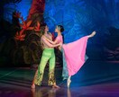 海外現役プロバレリーナによるレッスンを提供します ロシア国立バレエ学校で培ったワガノワメソッドのバレエクラス イメージ2