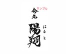 ポストカードサイズの命名書をお書きいたします ★お名前はご両親様からお子様への最初で最大のプレゼント！ イメージ3