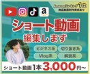 SNS向けショート動画を編集します TikTok／YouTube ／Instagram対応 イメージ1