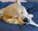 2000字ほどの文章書きます 学生にしか書けない記事や、文章のお手伝いも可能です！ イメージ1