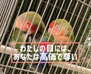 9:00〜22:00の間で無制限でお話します 反応が欲しい！メッセージが欲しい！という方におすすめです☆ イメージ3