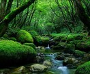 全方位の不調・不運の連鎖を断ち、幸せを引き寄せます 人生が整い始める“浄化の起点”あなたの運気を底上げします イメージ10