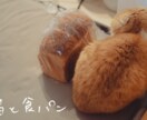 猫を使った商品撮影行います あなたの商品や売り出したいものを猫を使って撮影しませんか イメージ2