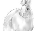 どうぶつのイラスト描きます 二次利用◎かわいいうちの子のグッズ作りませんか? イメージ5