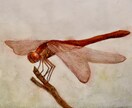似顔絵・挿絵・アイコンなどご依頼に合わせて描きます アナログ・デジタル問わず！味のある絵を求める方へ イメージ5