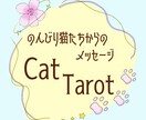 のんびり気まぐれ猫たちからのメッセージお届けします 猫たちからのいつもとは少し違ったメッセージ聞いてみませんか？ イメージ1
