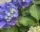 24時間いつでもお話聞きます 元保育士があなたのお悩み聞きます！ イメージ1