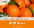大人可愛いシンプルなデザイン作ります ニュアンスカラー大好きです！！ イメージ6