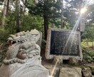1.5ヶ月間の私のお弟子さん紬心と私が鑑定致します この度、特別わたしの弟子紬心（ツムナ）が私と隣で一緒に視ます イメージ1