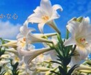 どんな事でも心から対応させていただきます 切り口鋭く愛❤️あるあなたのサポーター イメージ3