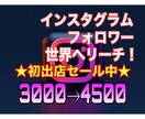 インスタフォロワー/Instagramを宣伝します 海外フォロワー3000人〜 インスタグラム 初出店サービス中 イメージ1