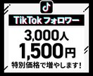 TikTokのフォロワーを3000人増やします 実績を作るため原価で提供中！1/30までの限定価格 イメージ1