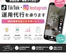 TikTok・Instagram運用代行を承ります 投稿企画編集まで対応しSNS運用を丸ごとサポート イメージ1