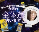 心に寄り添う✴︎タロット鑑定✴︎相談サポートします 心を包む猫タロット✴︎あなたの“今”に寄り添う優しい占い✴︎ イメージ4