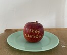 世界観のあるショート動画を制作します 紙や小物を使った、少し不思議で遊び心のある映像を制作します イメージ4