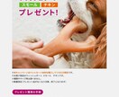 モール向けバナー制作いたします 社内のリソースが足りていない方へ！ イメージ3
