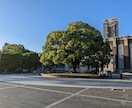 京都大学に関するどんな質問にもお答えします 大学入学後の話や院試に関する質問などどんな内容でも構いません イメージ1