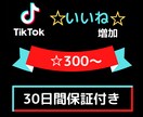 TikTokいいねを増加します 【10人限定特典+補償あり】300〜10000対応。 イメージ1