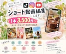 広告動画◎リール動画◎ショート動画編集します TikTok・Instagram・YouTube イメージ1