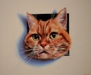 あなたのペットが色紙から【飛び出す絵】を描きます 参考画像のような色紙画面から飛び出して見えるアナログ画です イメージ2