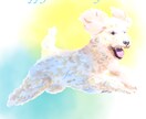 カラフル水彩風　写真からペット似顔絵を描きます リアルだけど、ちょっとカラフルで個性的！ イメージ2