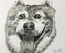 動物の似顔絵とイラストを描きます 色鉛筆とアーティストペン、どちらでも描けます！ イメージ7